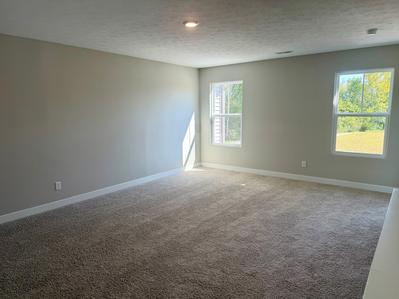 Carpeted bedroom with two windows