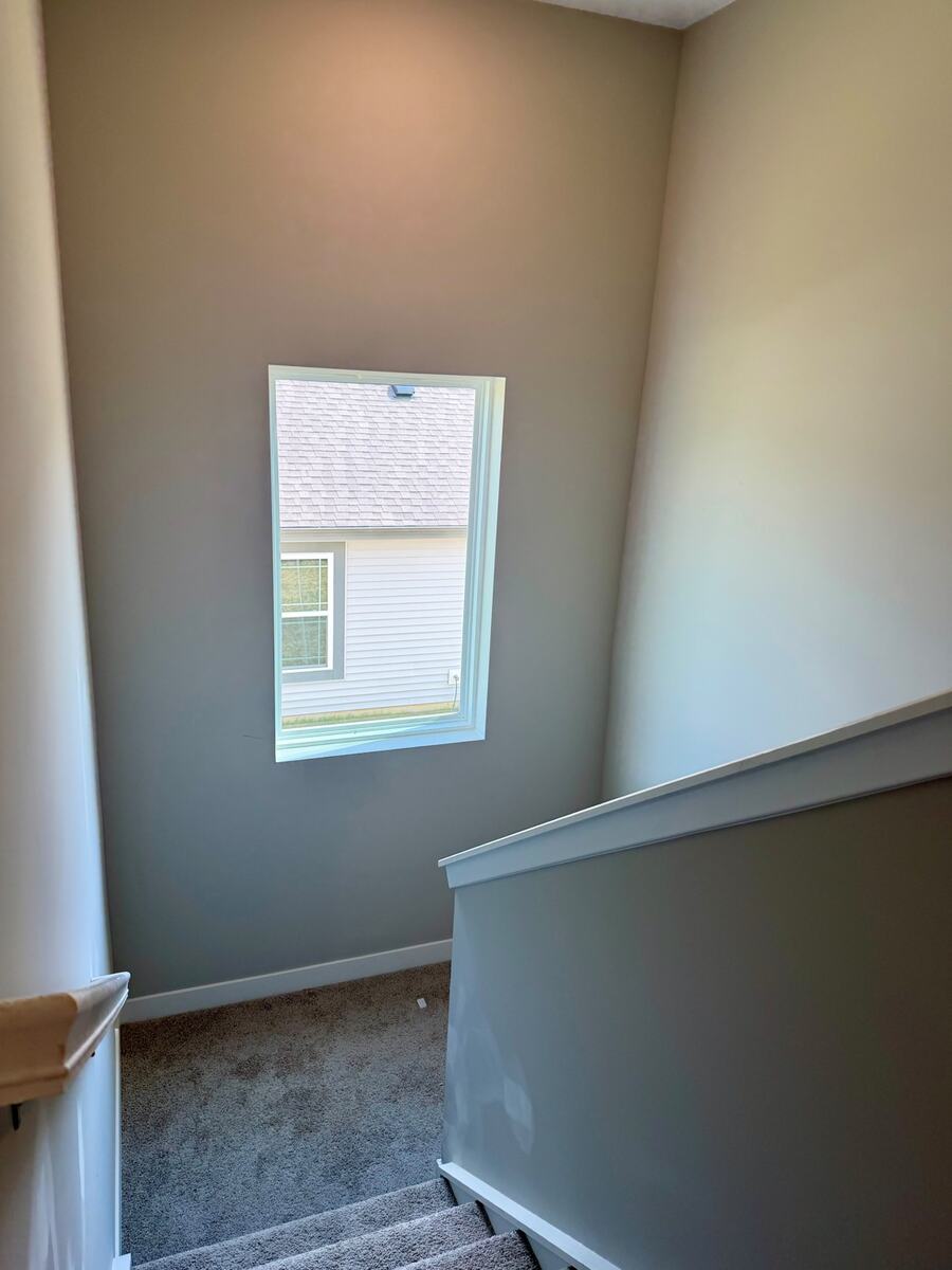 Carpeted stairway with tall window and natural light